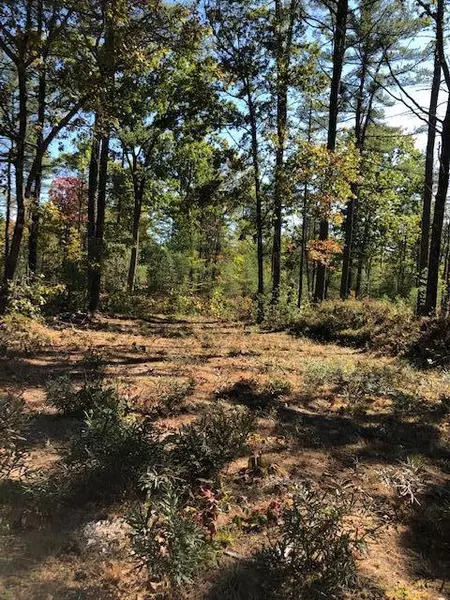 Lot 1 Saco RD, Hollis, ME 04042