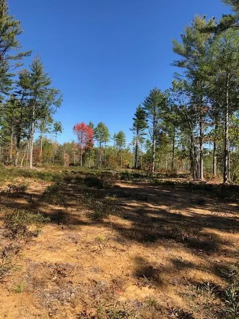 Hollis, ME 04042,Lot 1 Saco RD