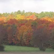 Lot #14 Randall RD, Winslow, ME 04901