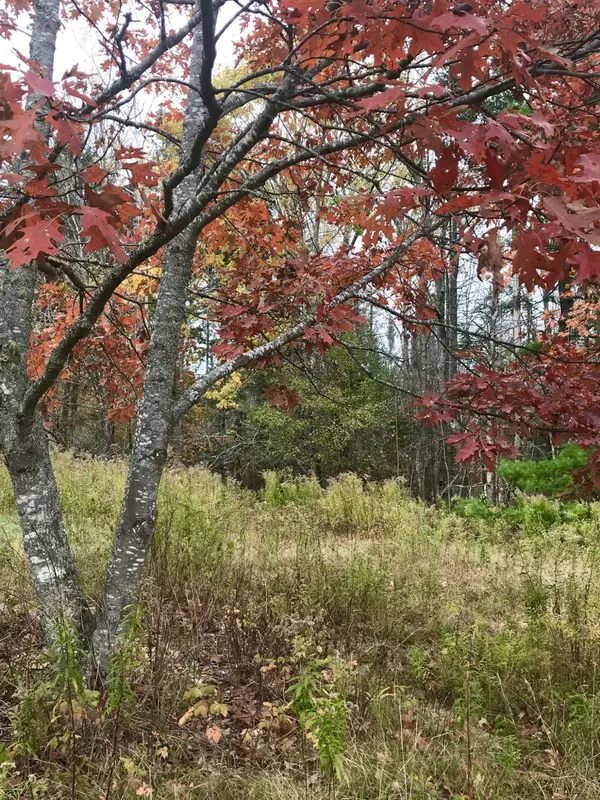 Bucksport, ME 04416,20 Hog Heaven LN