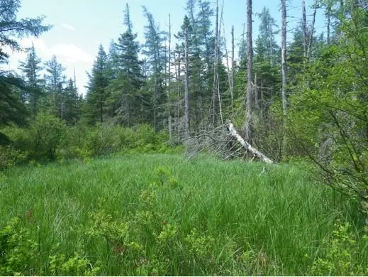 Pembroke, ME 04666,366 Youngs Cove RD