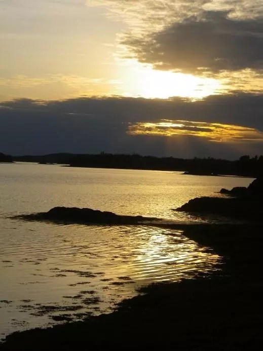 Pembroke, ME 04666,366 Youngs Cove RD