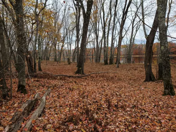 Greenbush, ME 04418,Off Main RD