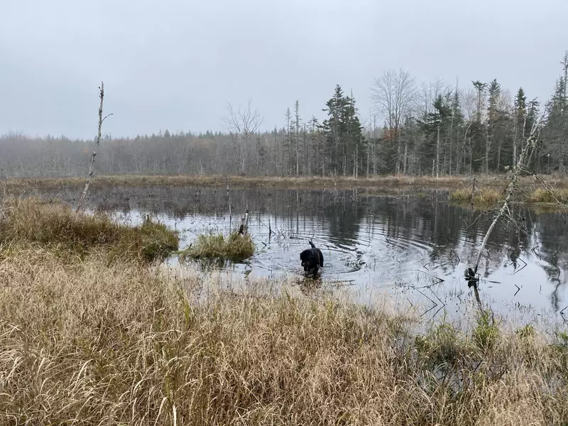 11 W McMann ST, Addison, ME 04606