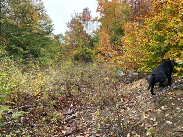 Lakeville, ME 04487,Lot 46 Dill Valley RD
