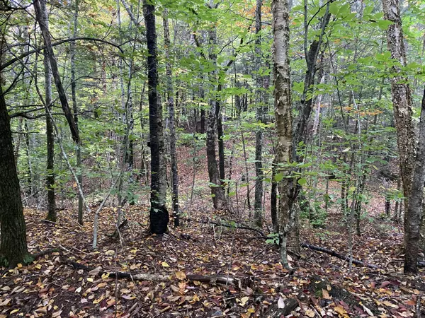 Lakeville, ME 04487,Lot 46 Dill Valley RD