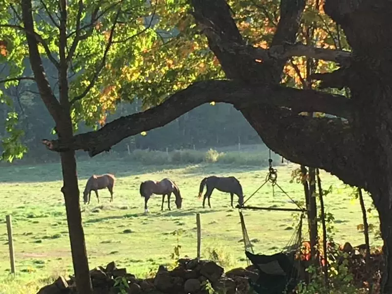 15 Abol TRL, Pittston, ME 04345