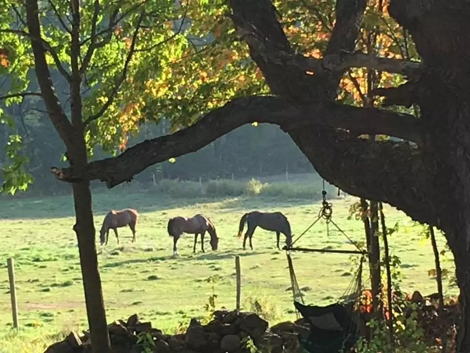 Pittston, ME 04345,15 Abol TRL