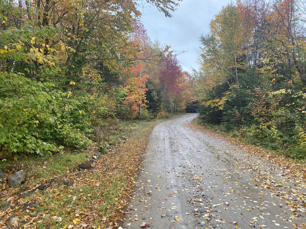 Lakeville, ME 04487,Lot 43-2 Depot RD