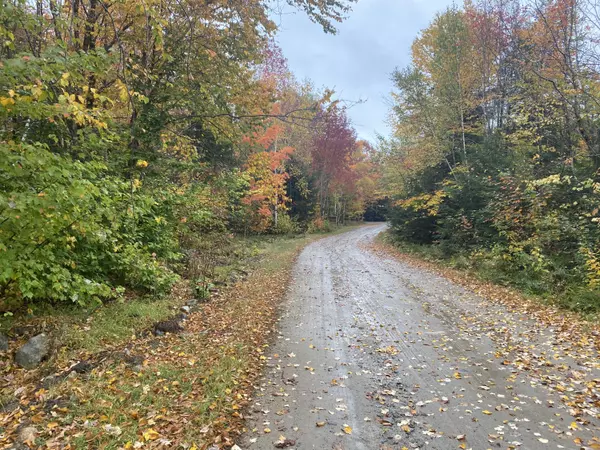 Lot 43-2 Depot RD, Lakeville, ME 04487