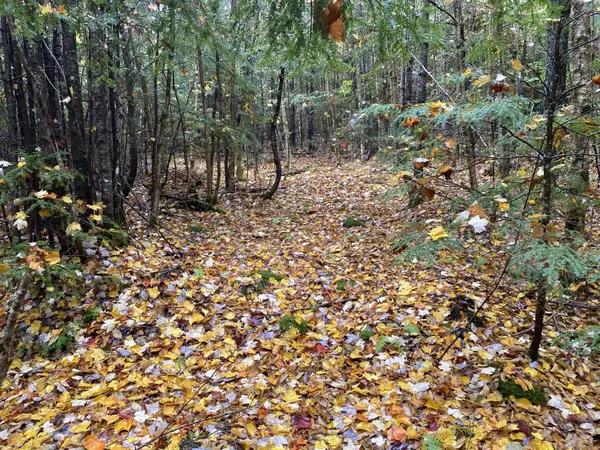 Lakeville, ME 04487,Lot 43-2 Depot RD