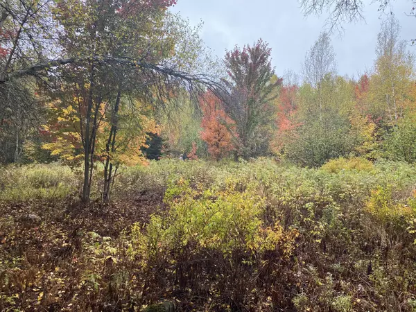 Lakeville, ME 04487,Lot 43-2 Depot RD