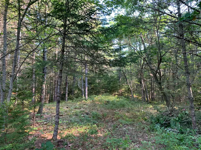 Lot 2 Will Butler Lane, Bremen, ME 04551