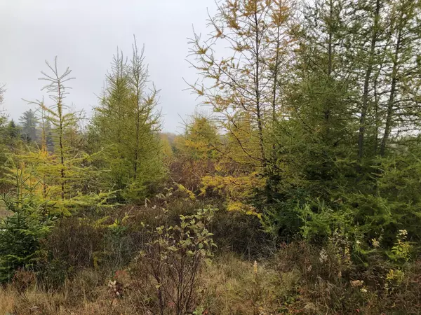 Steuben, ME 04680,63 Smithville Road