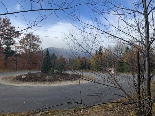 Newry, ME 04261,Lot 25 Mount Will DR