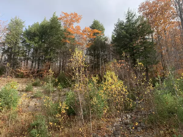 Newry, ME 04261,Lot 25 Mount Will DR