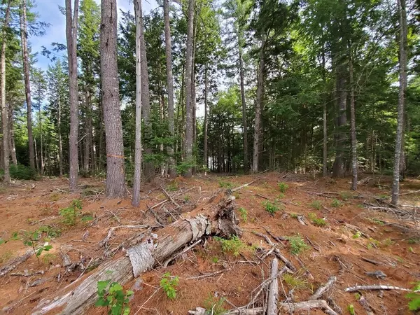 Great Pond, ME 04408,Lot 2 North Little Pond RD
