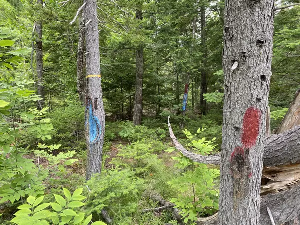 Prentiss Twp T7 R3 Nbpp, ME 04487,Lot 10B Route 169