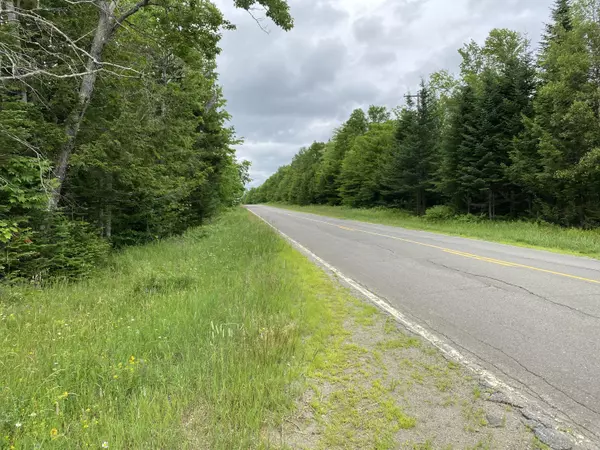 Prentiss Twp T7 R3 Nbpp, ME 04487,Lot 10B Route 169