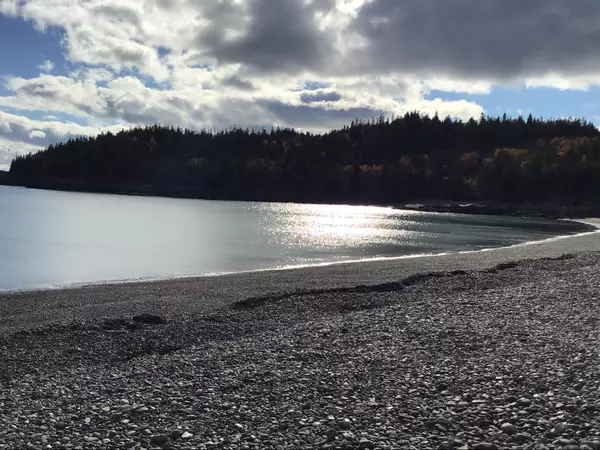 Machiasport, ME 04655,100 Rose Lane