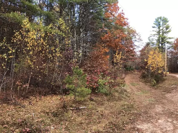 Hollis, ME 04042,Lot 64-2A Emerald LN