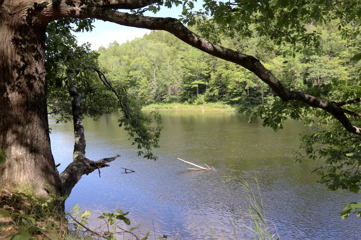 Bethel, ME 04217,00 Route 2/26