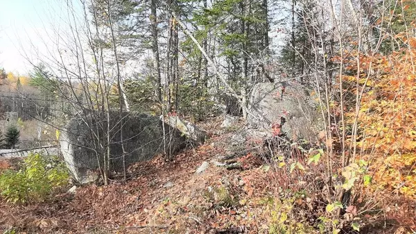 New Portland, ME 04961,907 Bog RD