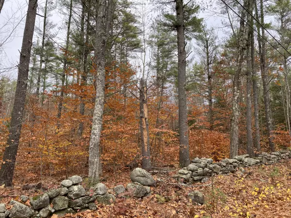 LOT 1 Turkey ST, North Berwick, ME 03906