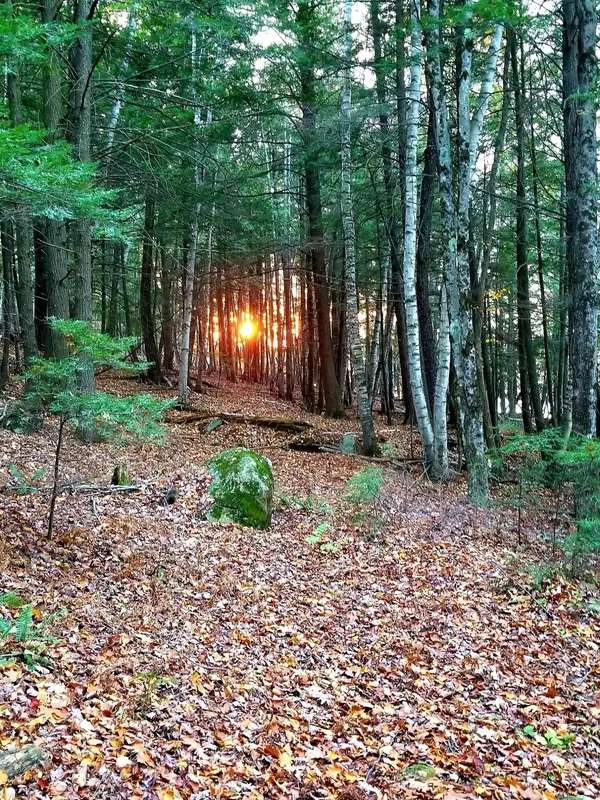Sidney, ME 04330,Lot 47 B Snow Pond LN