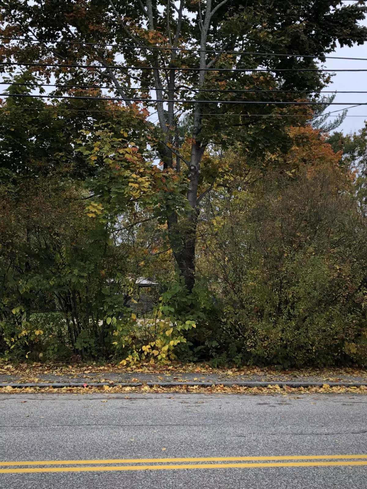 Portland, ME 04103,33 Devonshire ST
