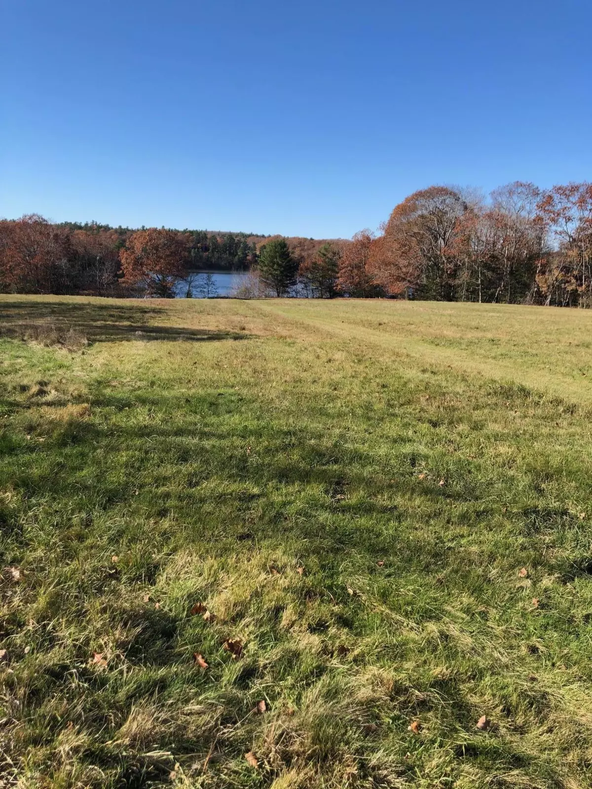 Orland, ME 04472,TBD Castine RD