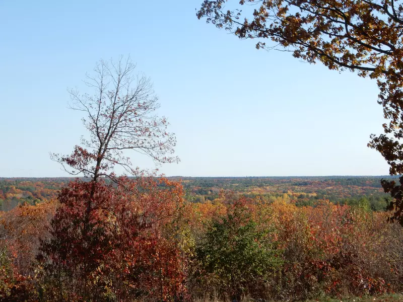 00 Oak LN, Dayton, ME 04005