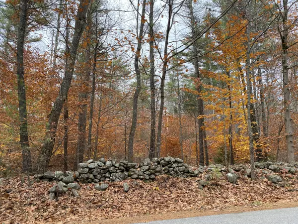 North Berwick, ME 03906,LOT 8 Turkey ST