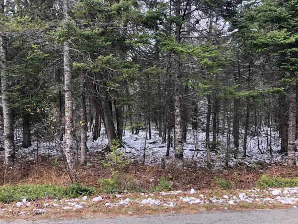 94 Yoho Head RD, Machiasport, ME 04655