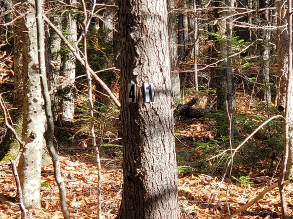 Stow, ME 04037,Lot 41 Fernalds Hill WAY