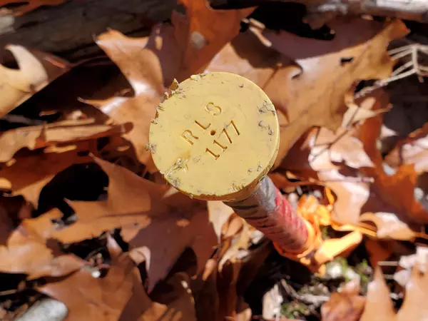 Stow, ME 04037,Lot 41 Fernalds Hill WAY