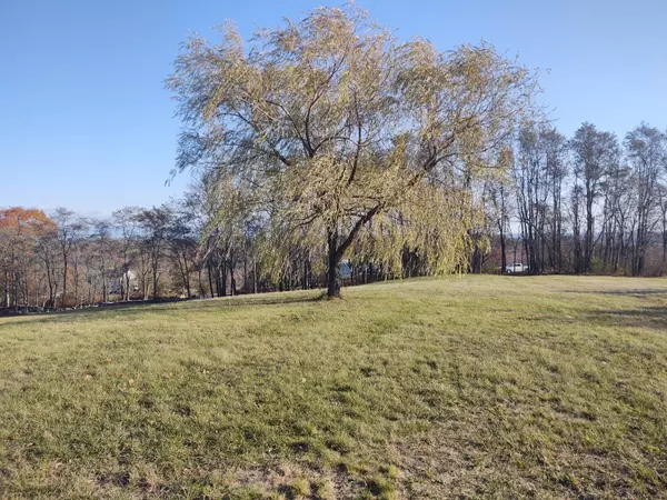 Minot, ME 04258,1EA Jackass Annie RD