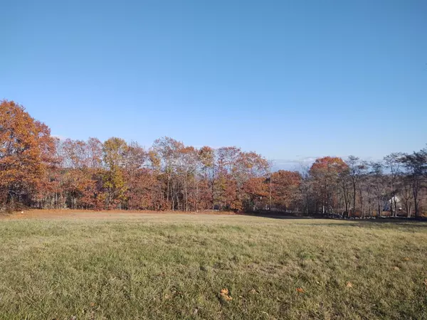 Minot, ME 04258,1EA Jackass Annie RD