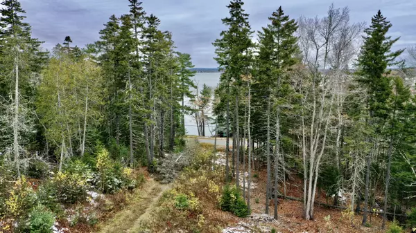 Brooksville, ME 04642,176 Cape Rosier RD