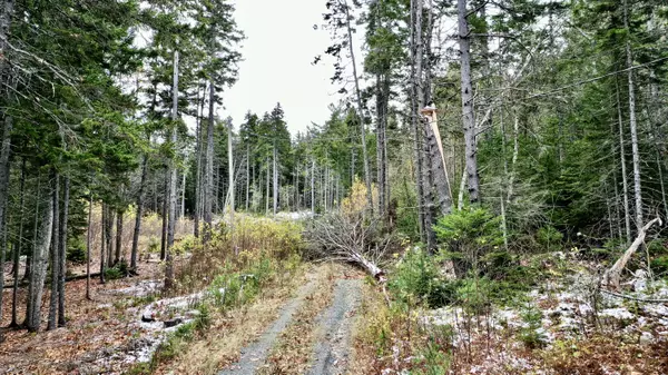 Brooksville, ME 04642,176 Cape Rosier RD