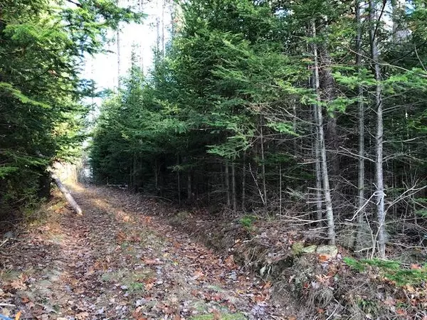 492 Front Ridge RD, Penobscot, ME 04476