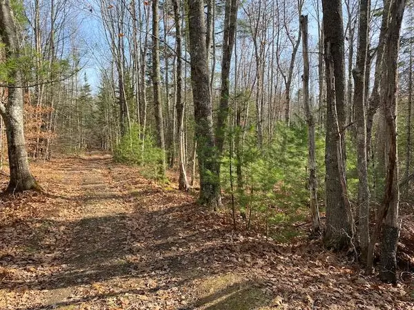 0 Brodis RD, Lincolnville, ME 04849