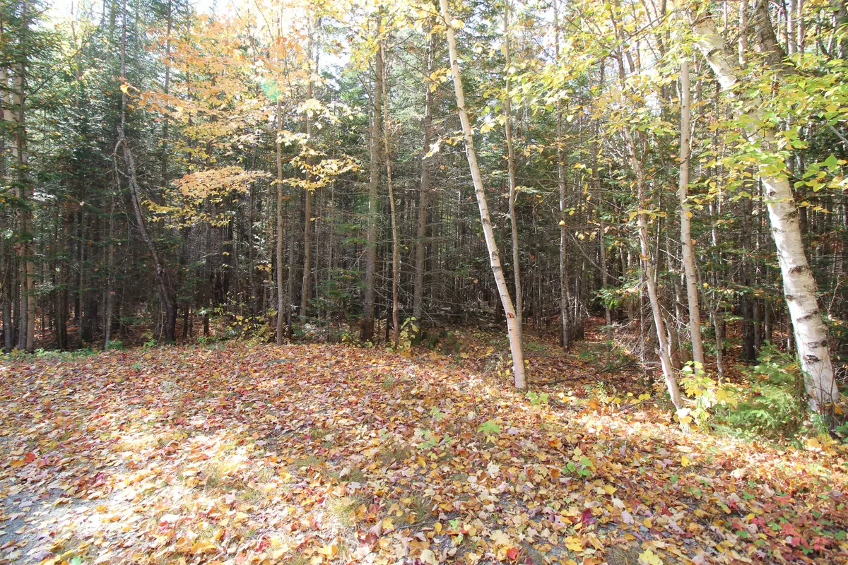 Dallas Plt, ME 04970,Lot 12 Fox Hollow RD