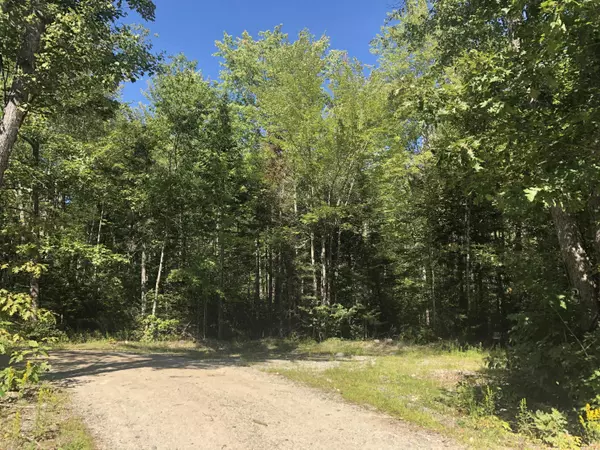 Surry, ME 04664,Lot 9 Ryan Lane