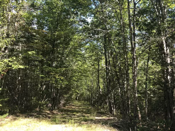 Surry, ME 04664,Lot 9 Ryan Lane