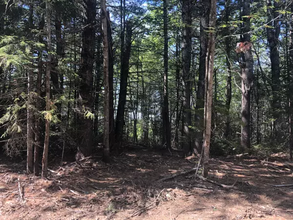 Surry, ME 04664,Lot 9 Ryan Lane
