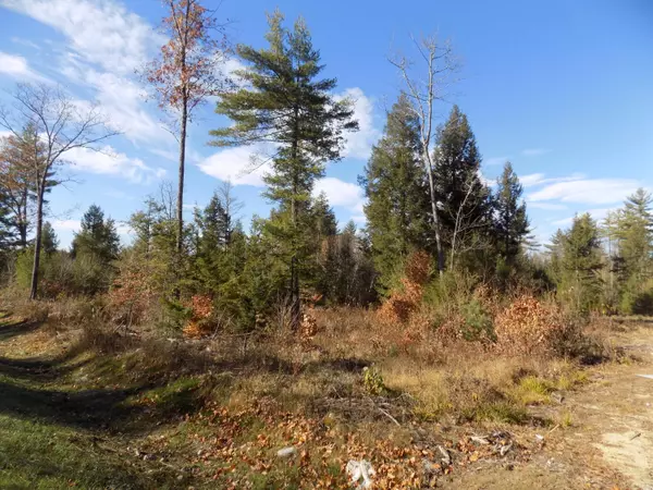 Fryeburg, ME 04037,0 Bridgton RD