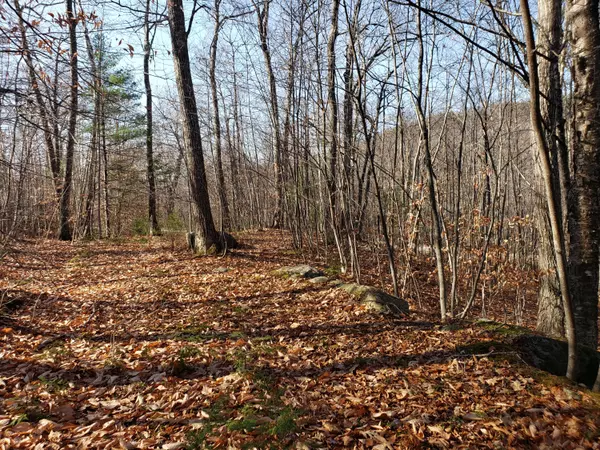 Stoneham, ME 04231,30 Littlefield RD