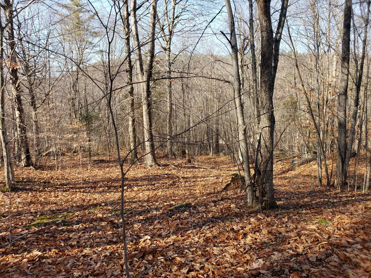 Stoneham, ME 04231,30 Littlefield RD