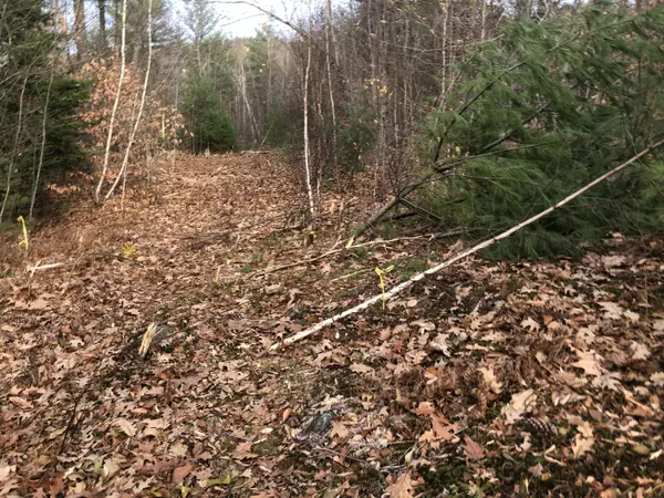 Parsonsfield, ME 04047,0 Randall Lake RD